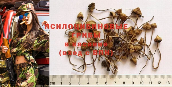 МДПВ Арсеньев