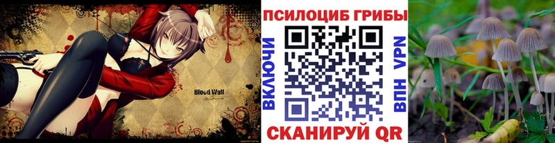 Галлюциногенные грибы мицелий  маркетплейс формула  Ижевск 