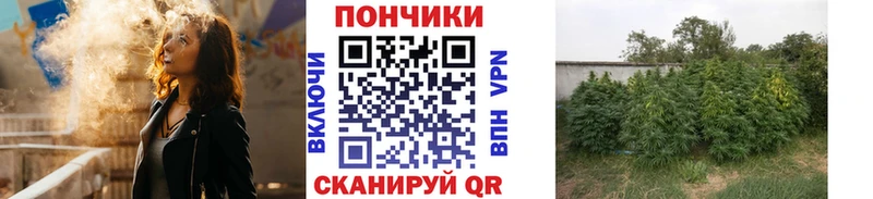 Бошки марихуана план Ижевск